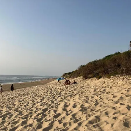 In Near Sandy
