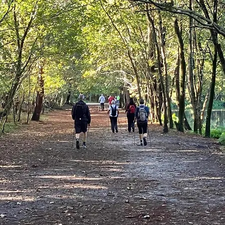 In Near Sandy * ביסקארוס